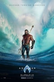 Aquaman ve Kayıp Krallık imdb puanı